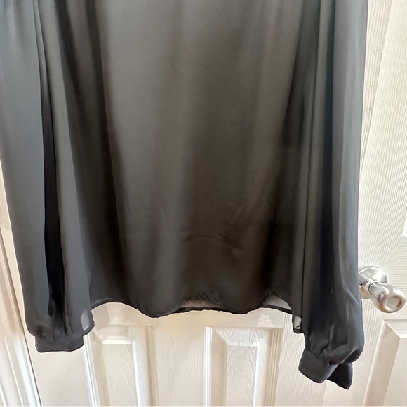 Linea V Elegant Black Sheer Blouse - Picture 3 of 9